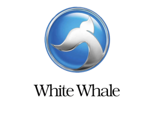 white-whale-خدمة-العملاء-